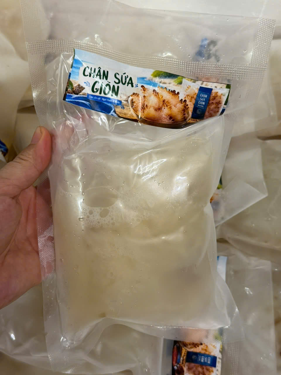 CHÂN SỨA TRẮNG tươi