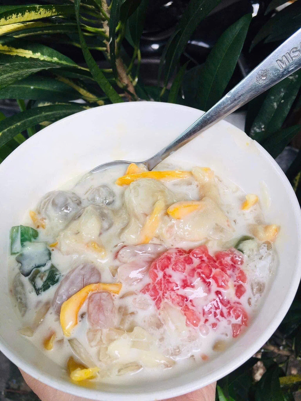 Chè thái Ý phương