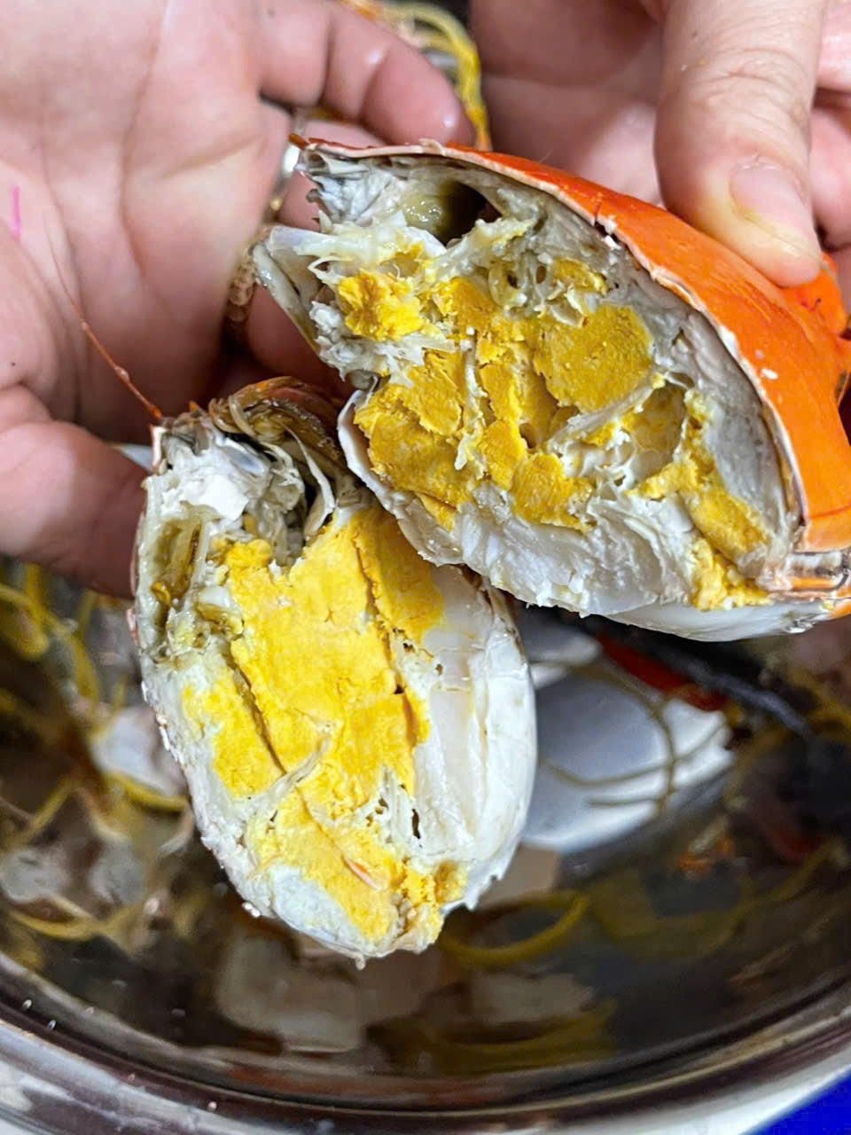 Cua thịt cà mau càng to