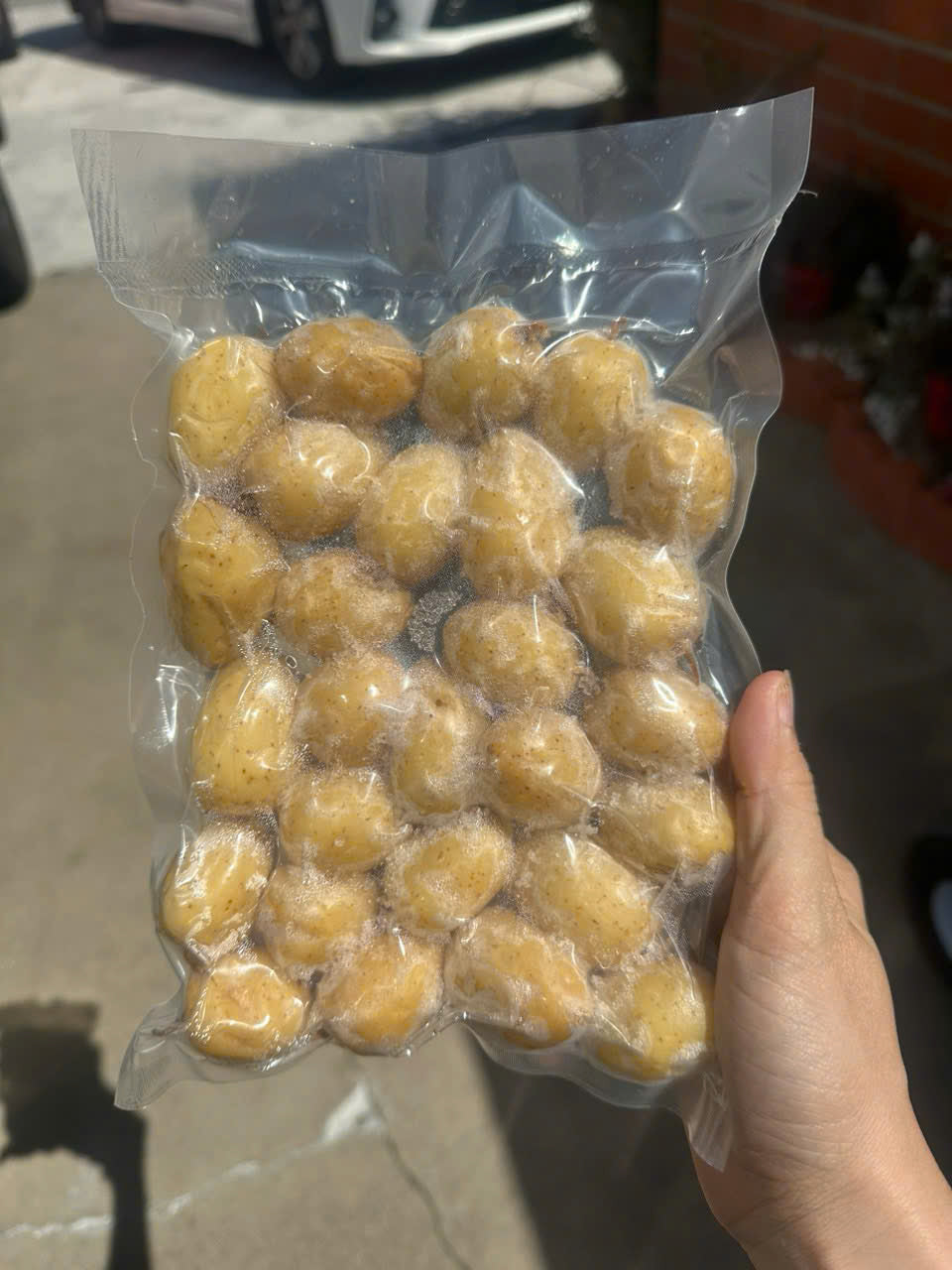 CỦ LÙN