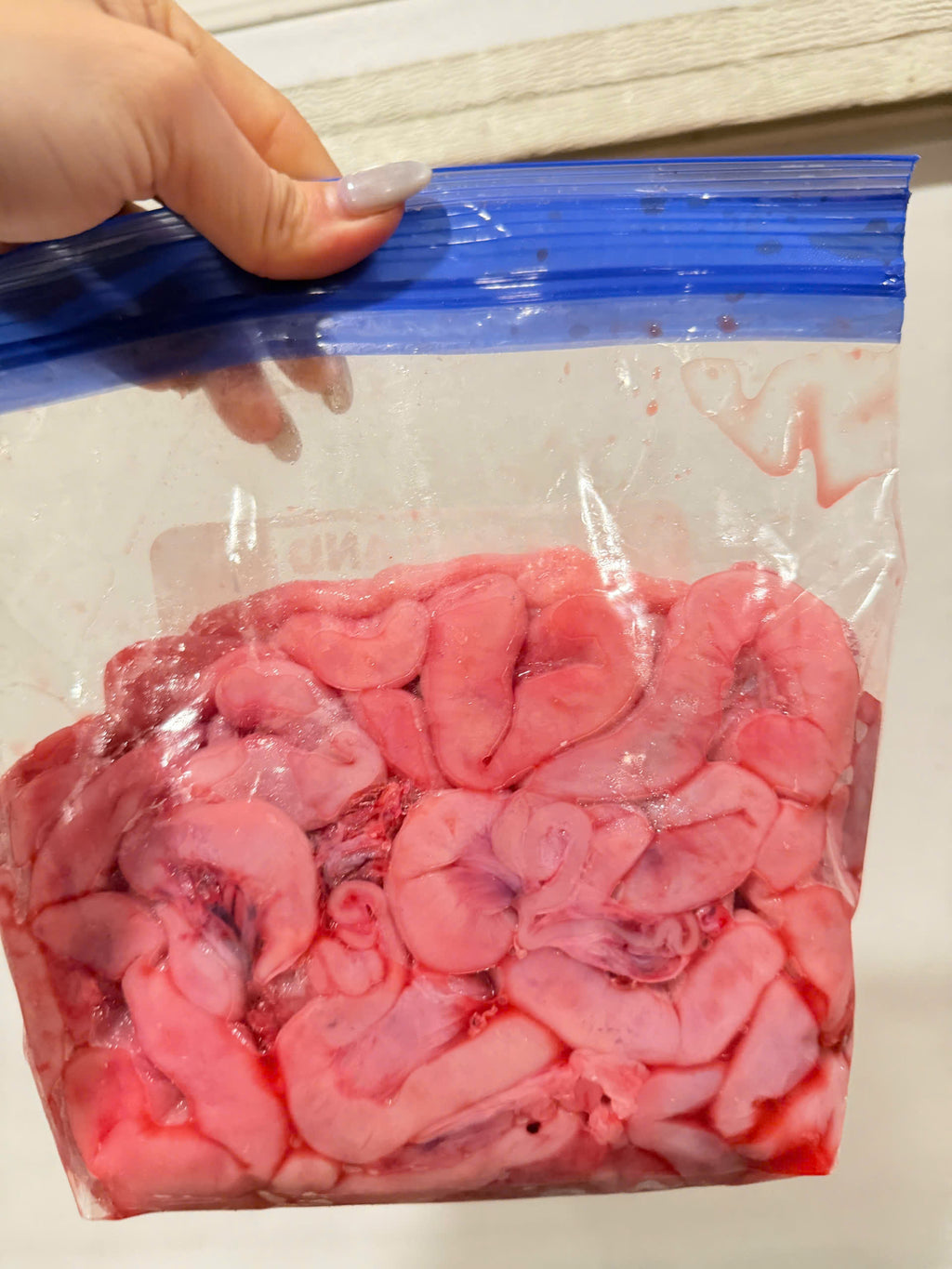 Dồi trường tươi
