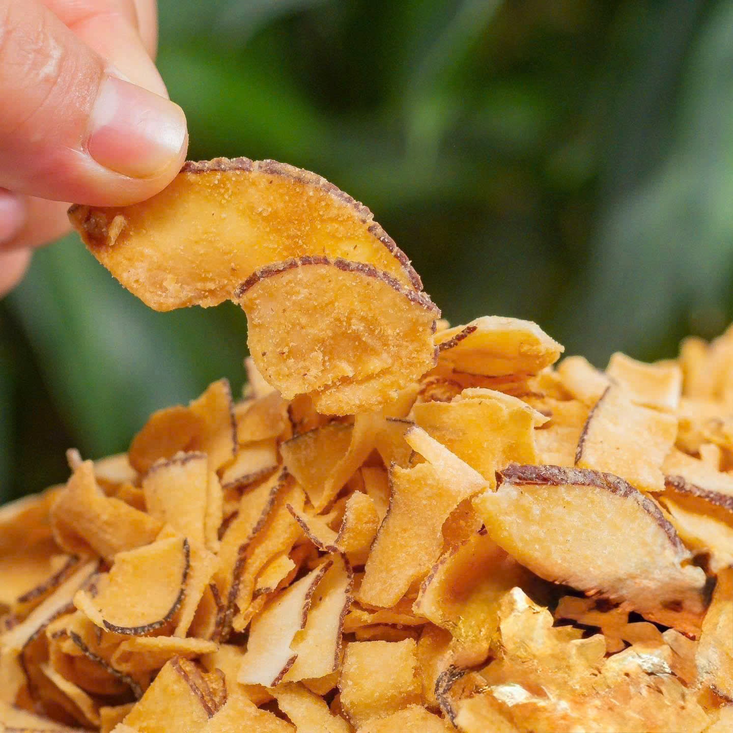 Dừa sấy giòn