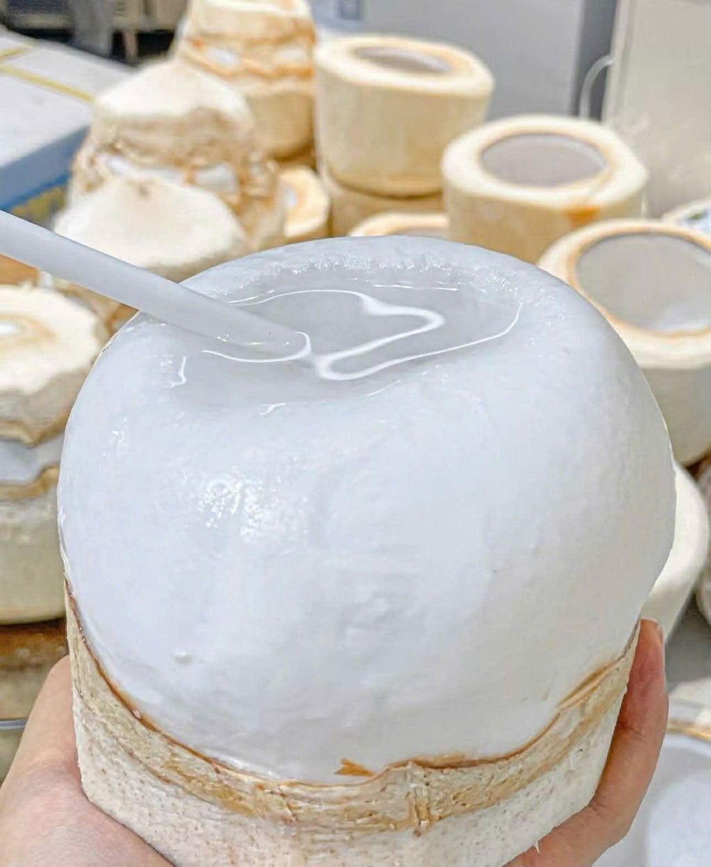 DỪA THÁI LAN TƯƠI NGUYÊN CHẤT