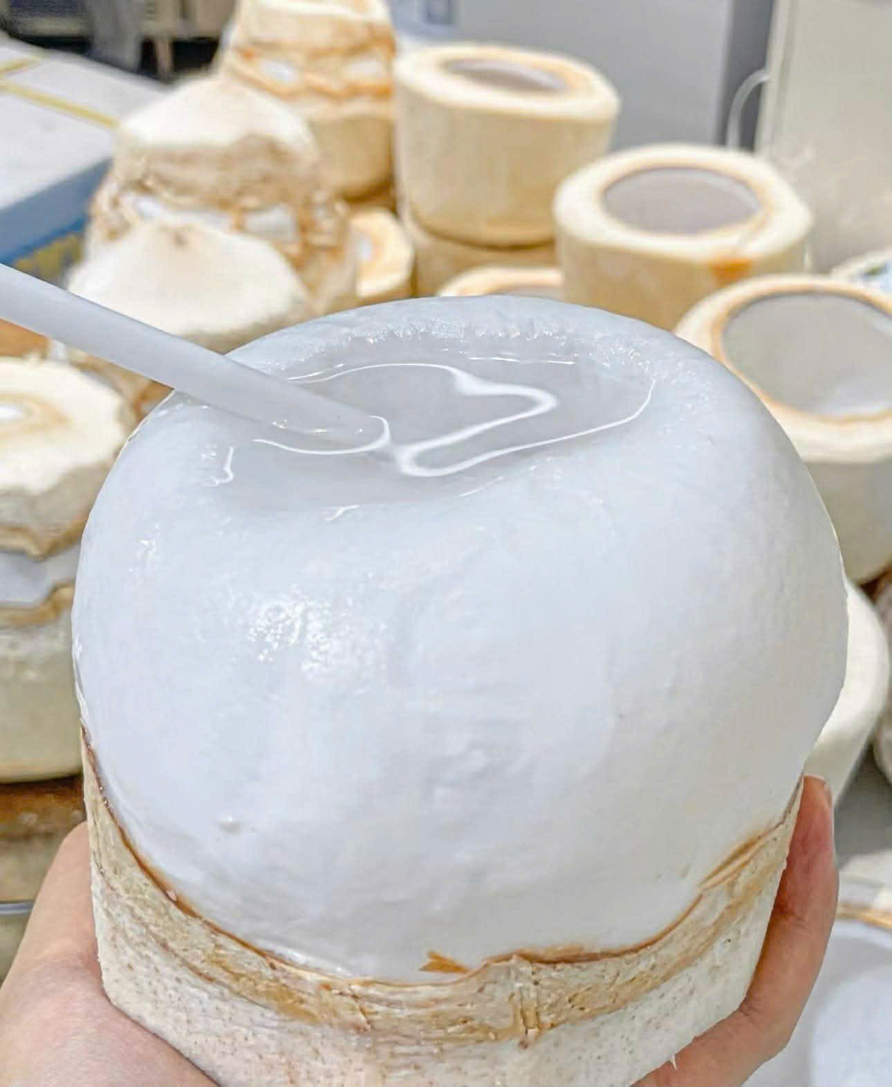 DỪA THÁI LAN TƯƠI NGUYÊN CHẤT