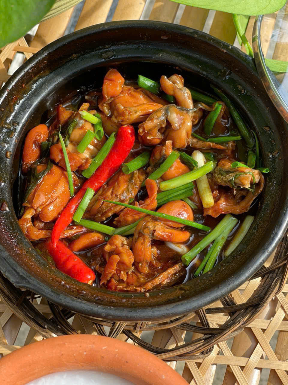 ĐÙI ẾCH KHO SINGAPORE