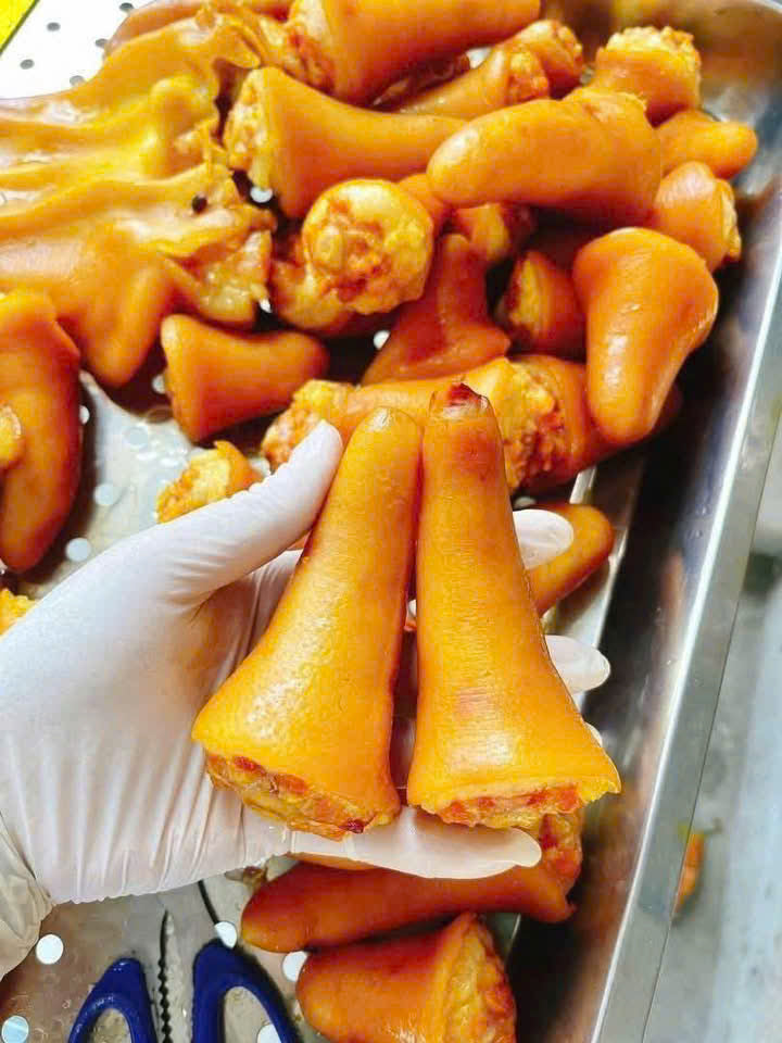 ĐUÔI HEO Ủ THẢO MỘC