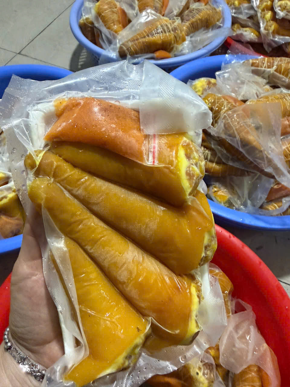 ĐUÔI HEO Ủ THẢO MỘC