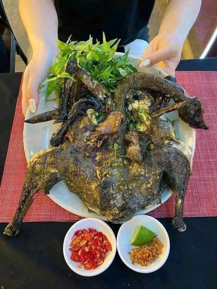GÀ ÁC ÔM TRỨNG