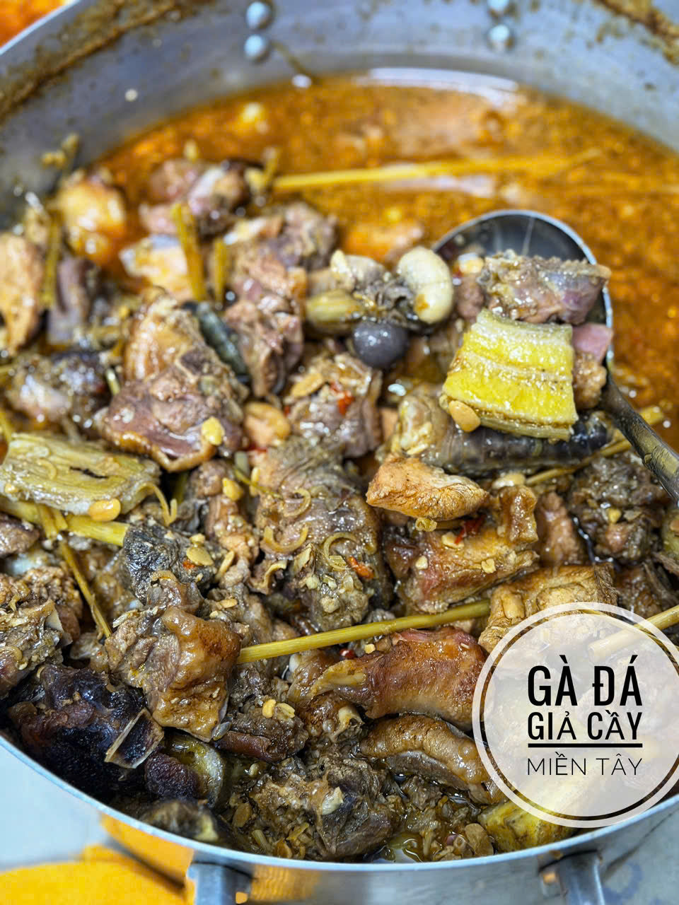 GÀ ĐÁ GIẢ CẦY