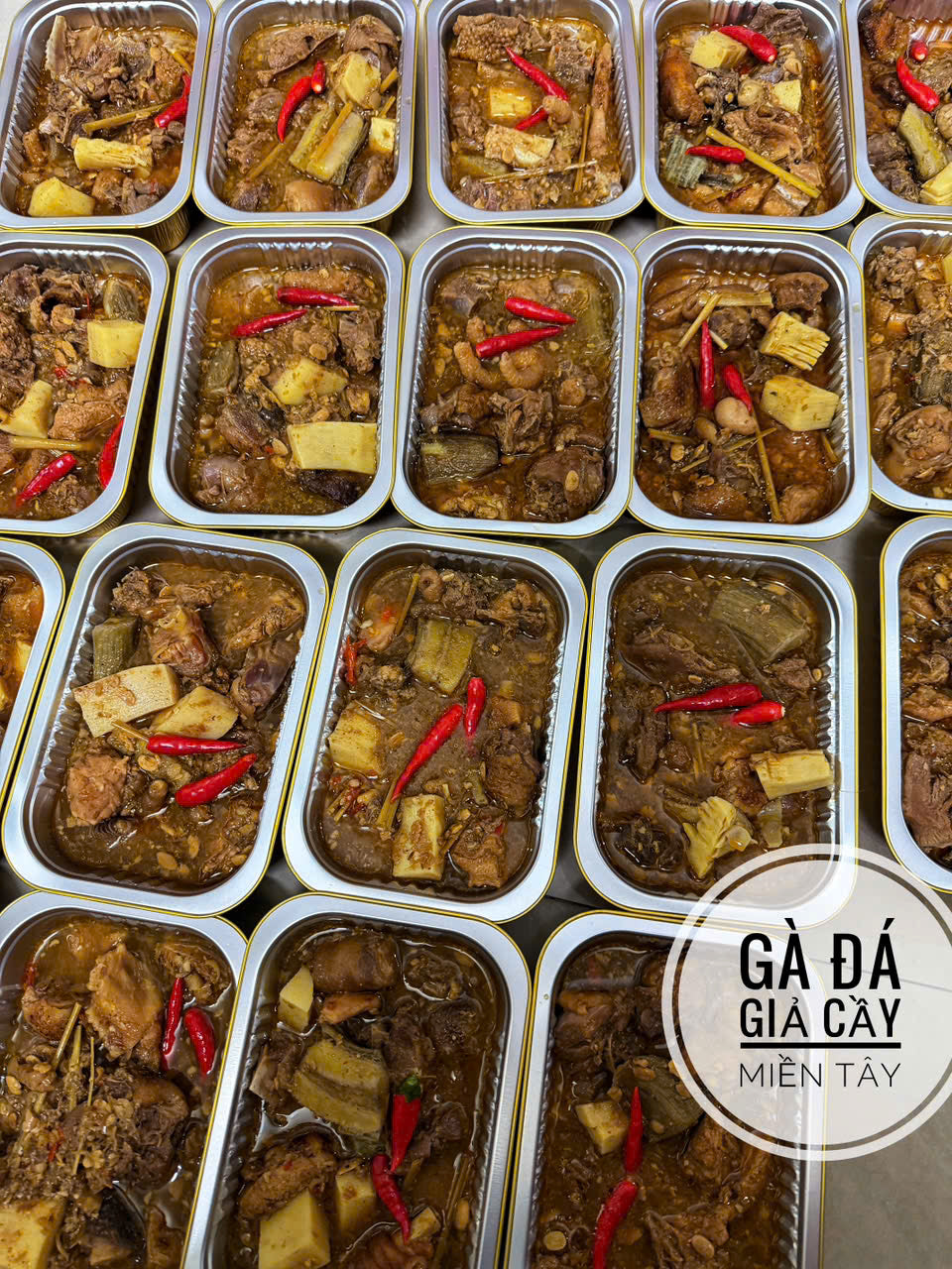 GÀ ĐÁ GIẢ CẦY