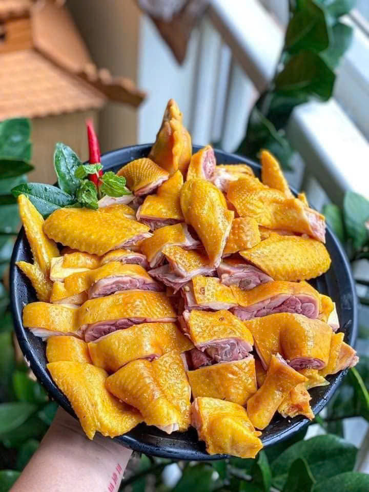 Gà ủ muối Thái Nguyên ôm trứng