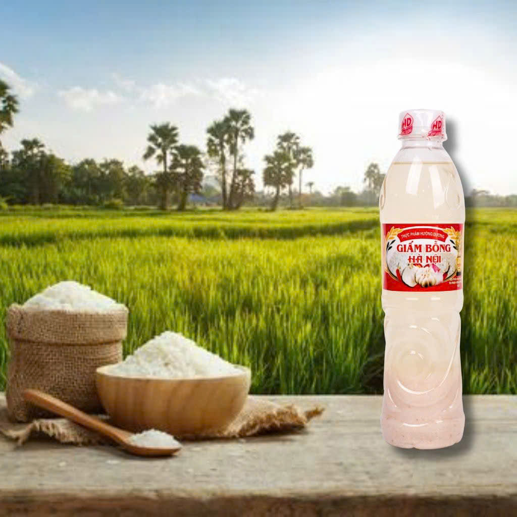 Giấm Bỗng Hà nội