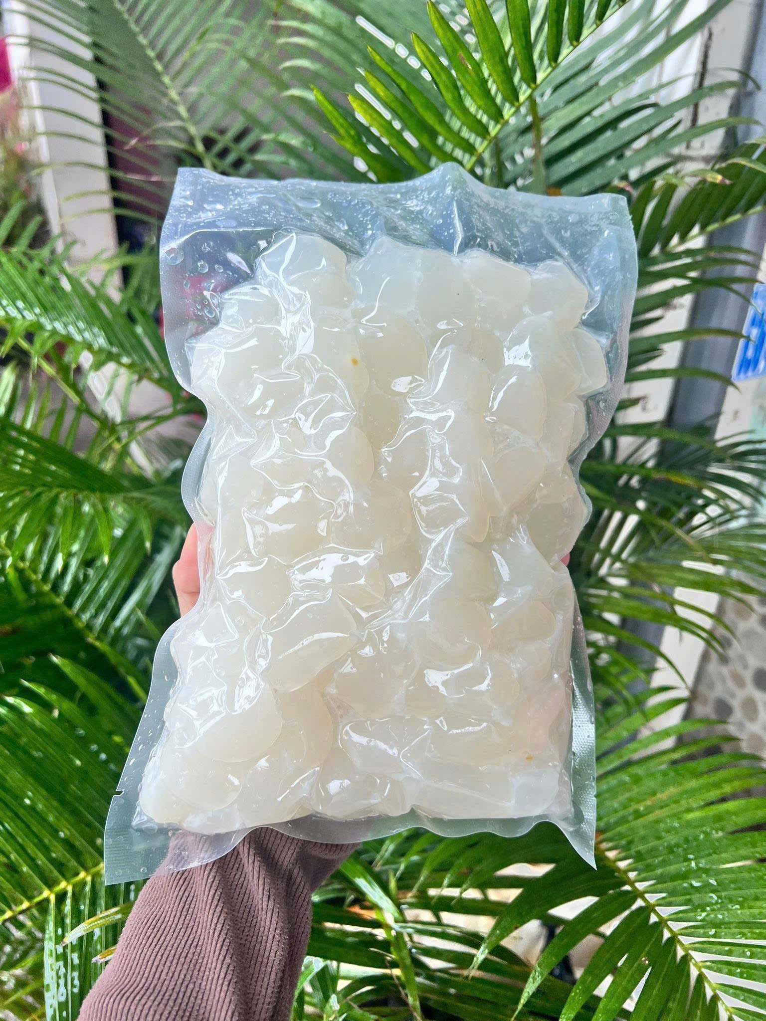 HẠT ĐÁC tươi cấp đông
