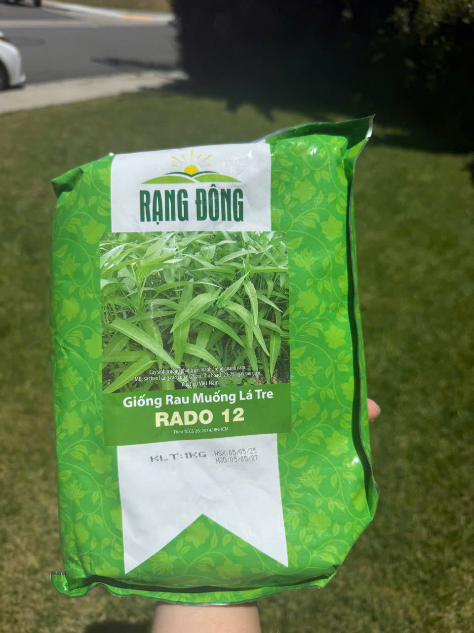 HẠT GIỐNG RAU MUỐNG RẠNG ĐÔNG