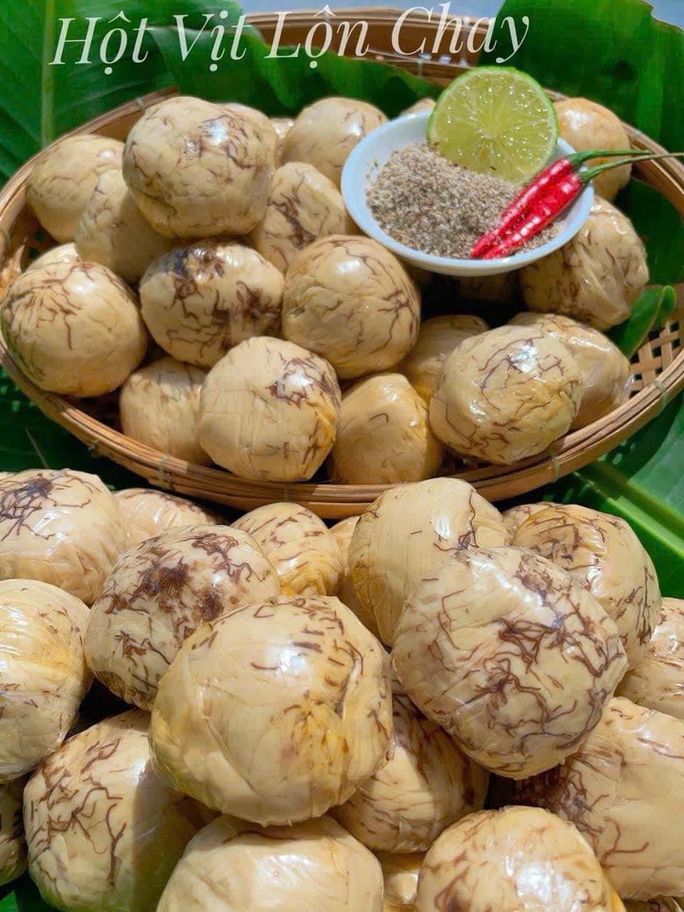 HỘT VỊT LỘN CHAY