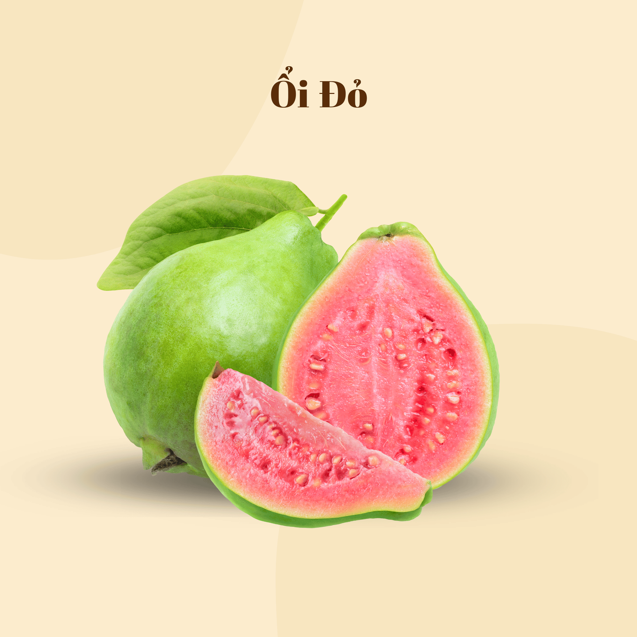 Ổi Ruột Đỏ | Pink Guava | FREESHIP OVERNIGHT