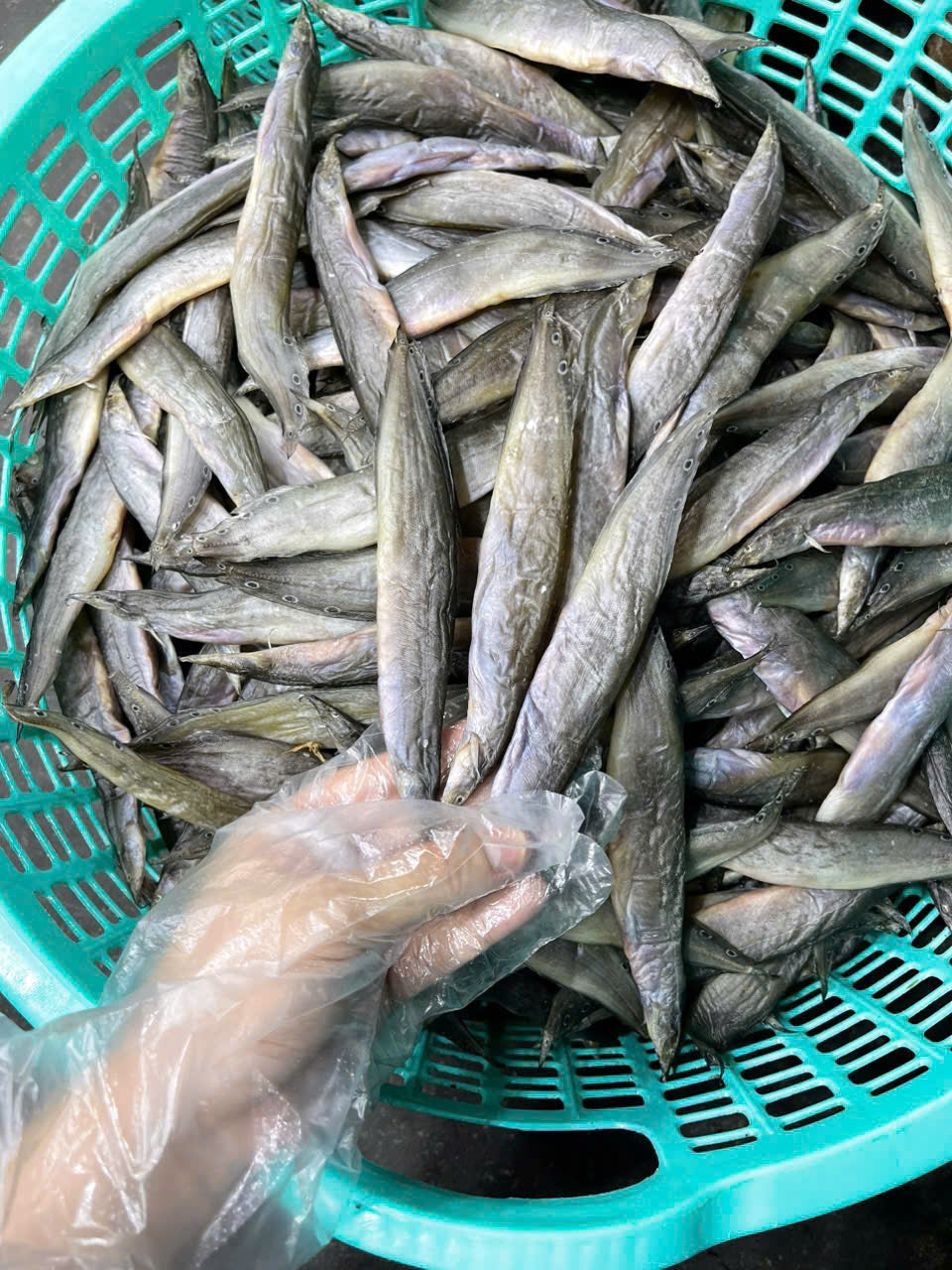 Khô cá chạch kèm mắm me