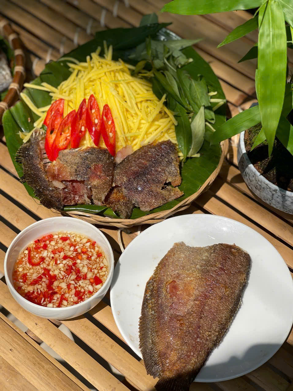 KHÔ CÁ SẶC