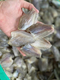 KHÔ CÁ SẶC BƯỚM