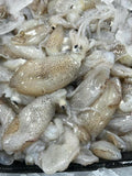 MỰC SỮA TEXAS