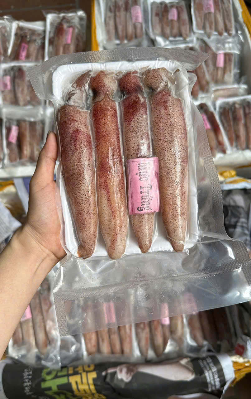 MỰC CÂU TRỨNG SIZE LỚN