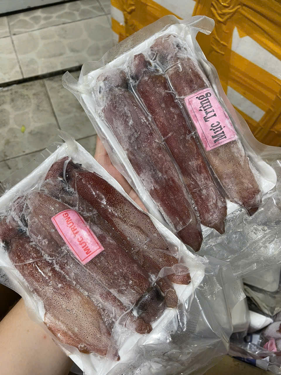 MỰC CÂU TRỨNG SIZE LỚN