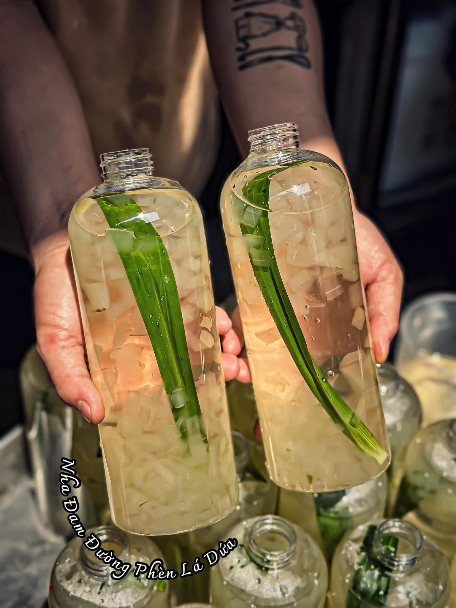 Nước NHA ĐAM ĐƯỜNG PHÈN