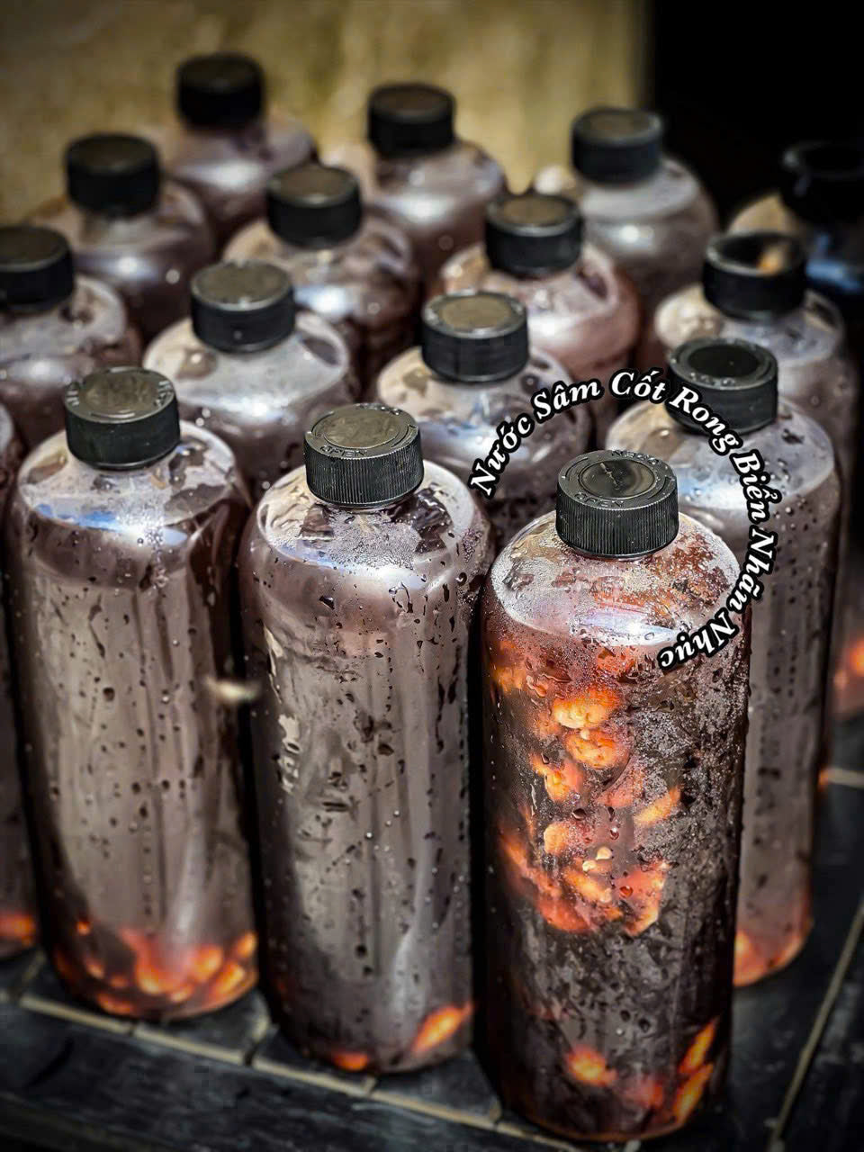 Nước SÂM RONG BIỂN NHÃN NHỤC (chai)