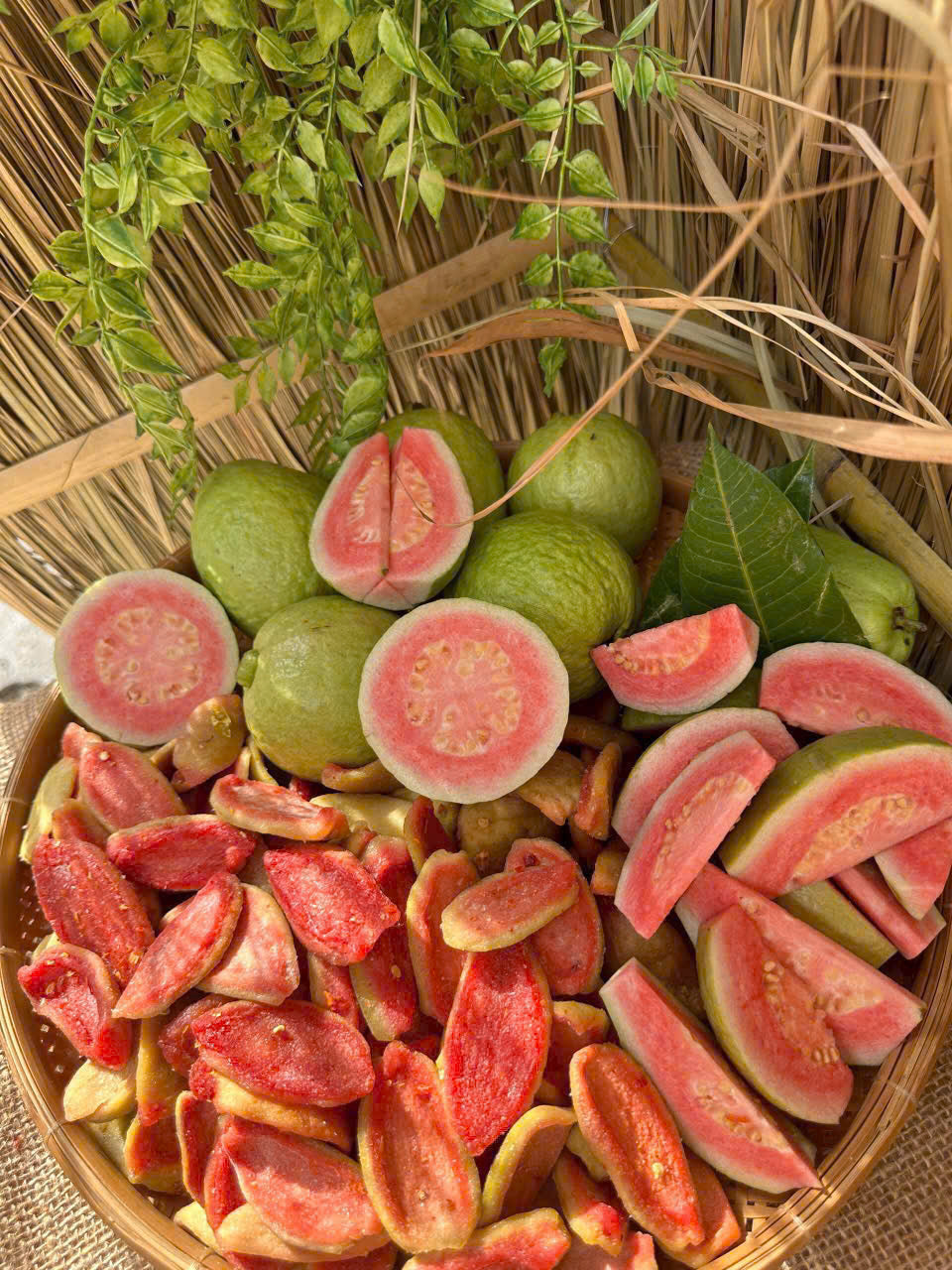 ỔI OMAI SẤY