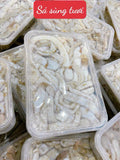 SÁ SÙNG TƯƠI