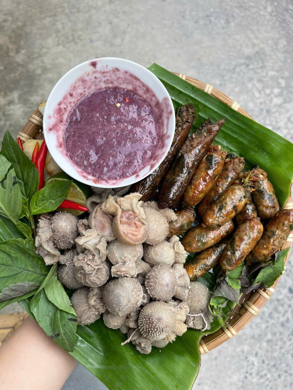 SET DỒI DÊ TÂY BẮC