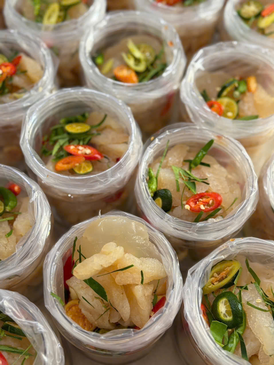 SỨA CHÂN MÈO NGÂM CÀ TẮC