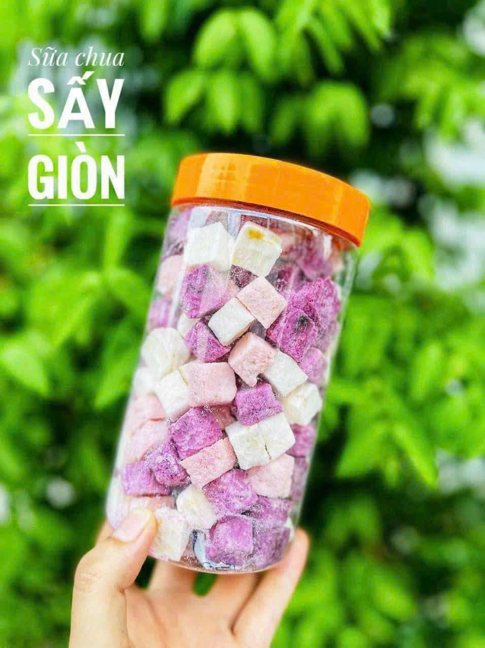 Sữa chua sấy thăng hoa
