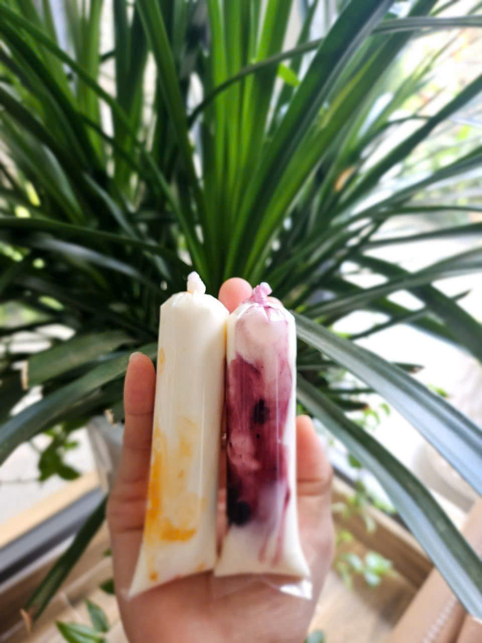 SỮA CHUA SỐT TRÁI CÂY - 10 bịch