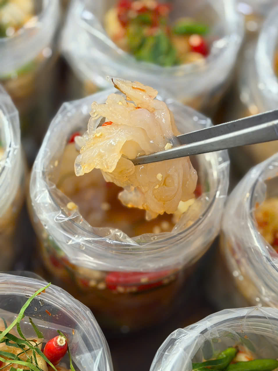 SỨA CHÙM NGÂM CÀ TẮC