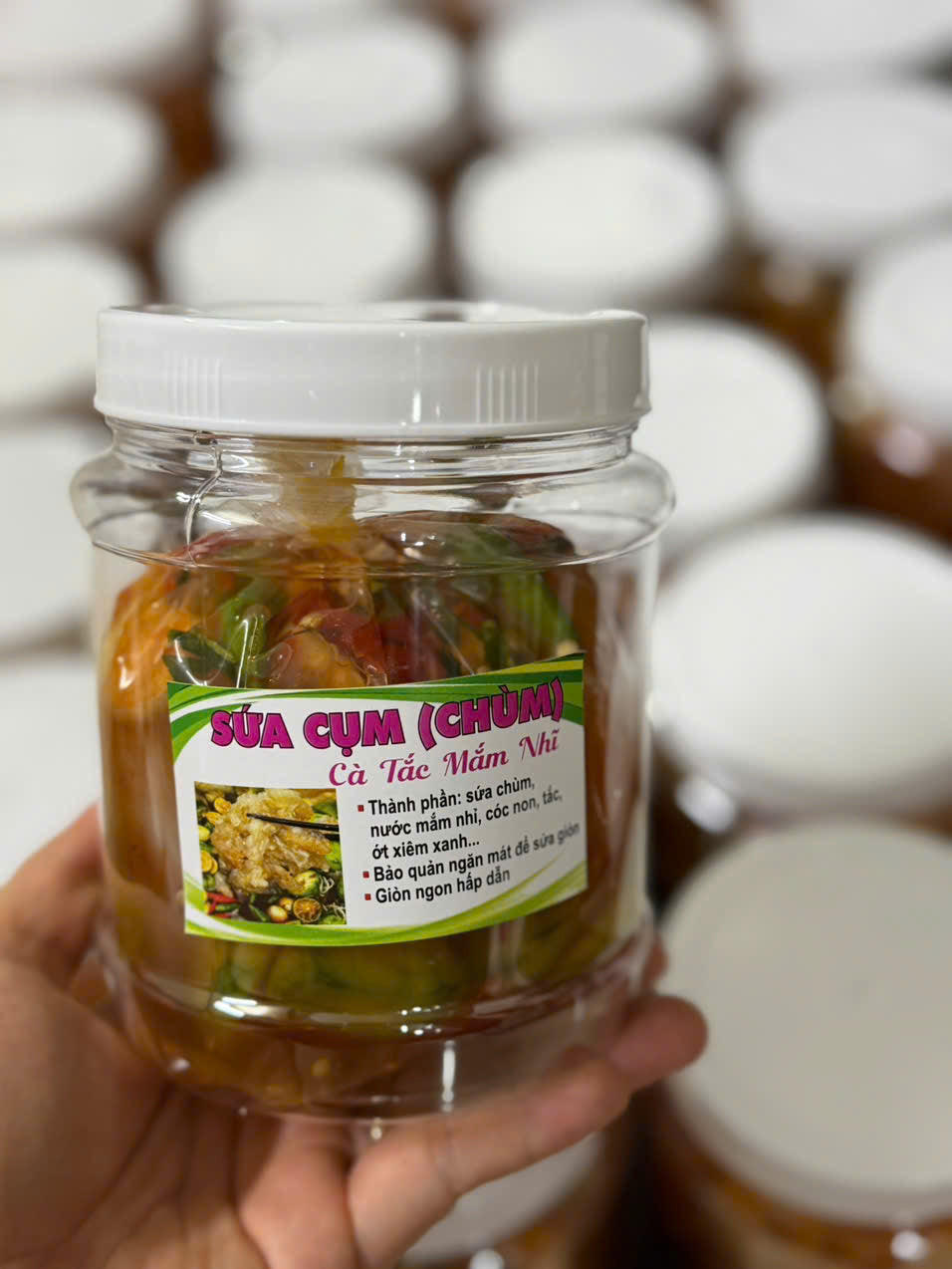 SỨA CHÙM NGÂM CÀ TẮC