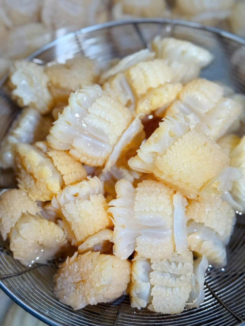 Sứa đạn tươi thái