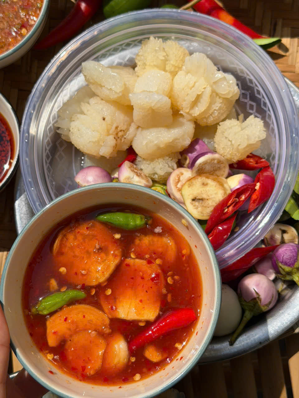 Sứa đạn ngâm cà tắc