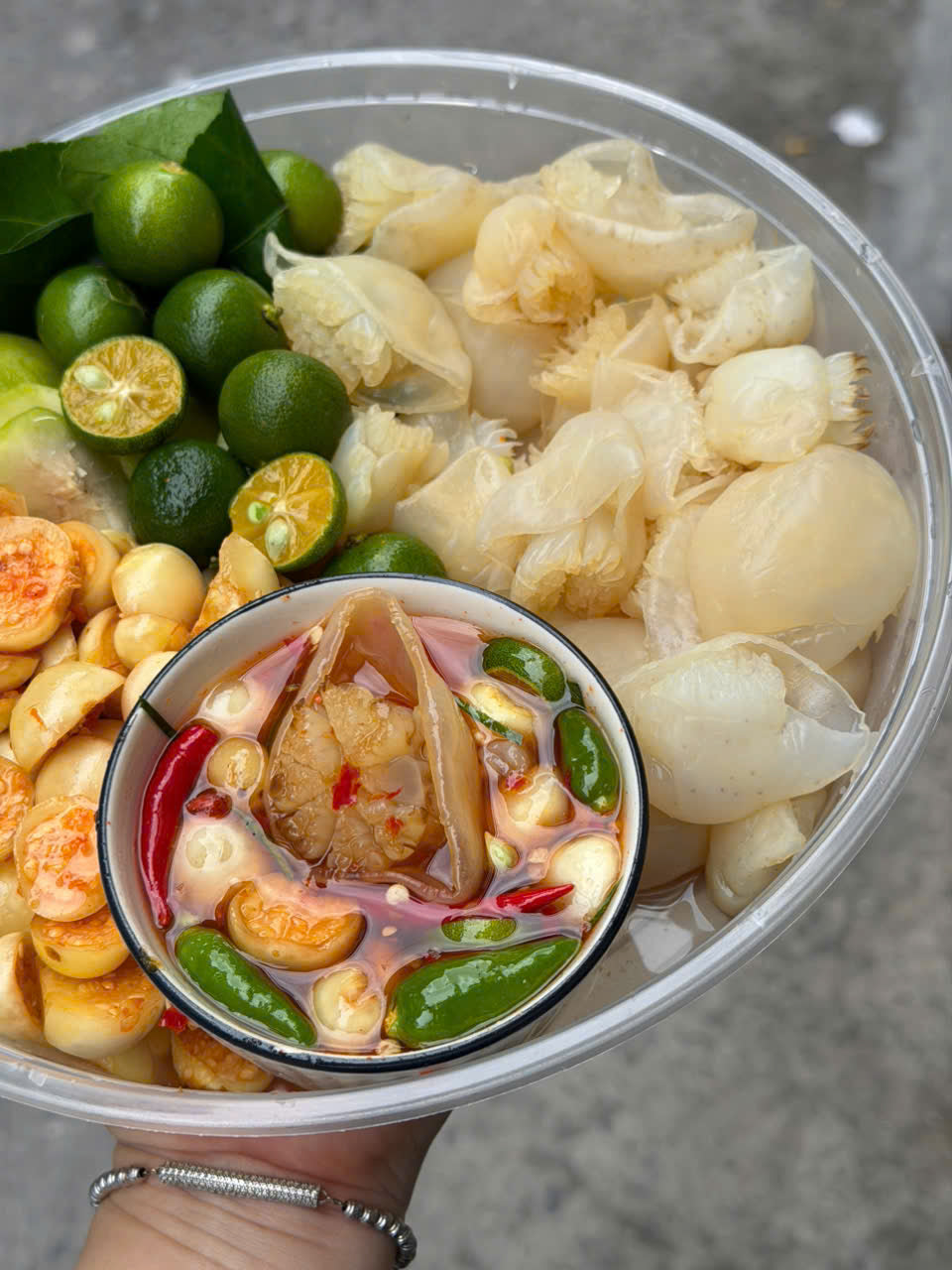 SỨA ĐẠN NÓN NGÂM CÀ TẮC