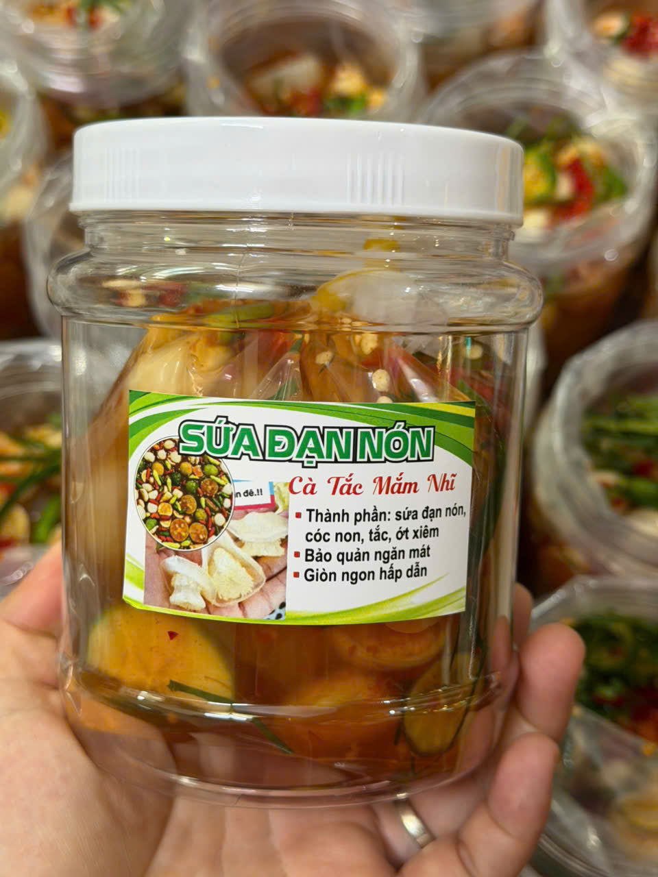 SỨA ĐẠN NÓN NGÂM CÀ TẮC