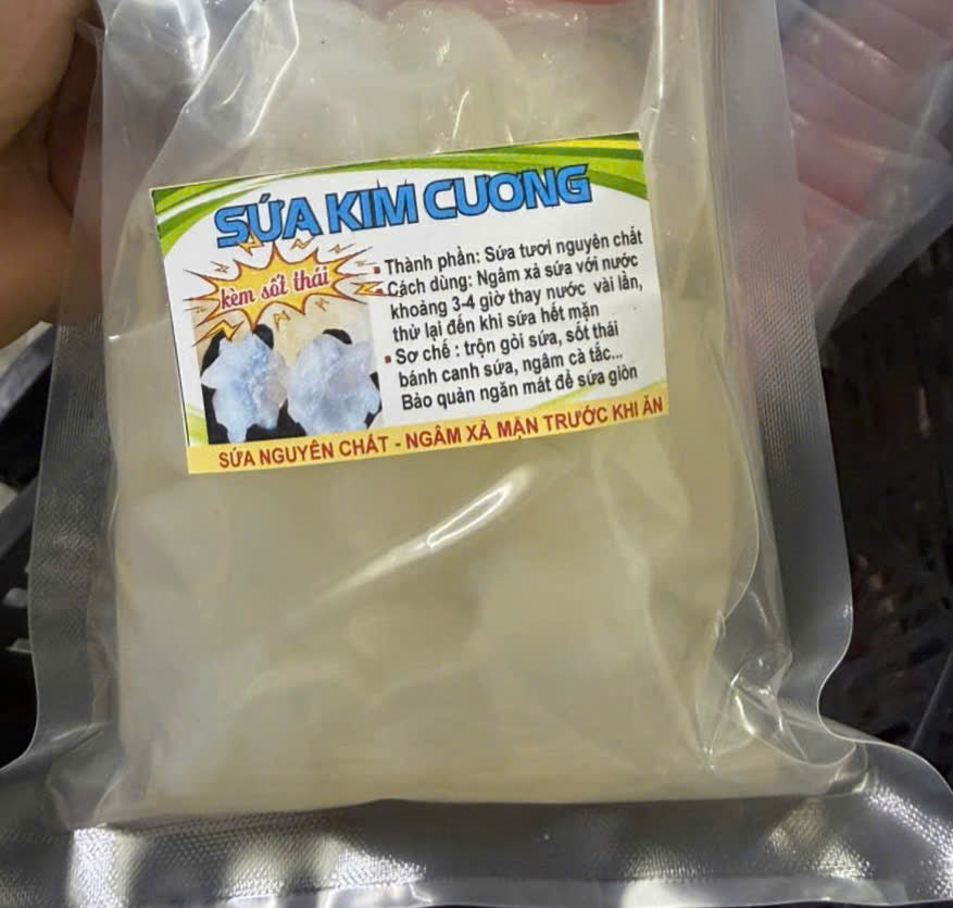 Sứa kim cương tươi