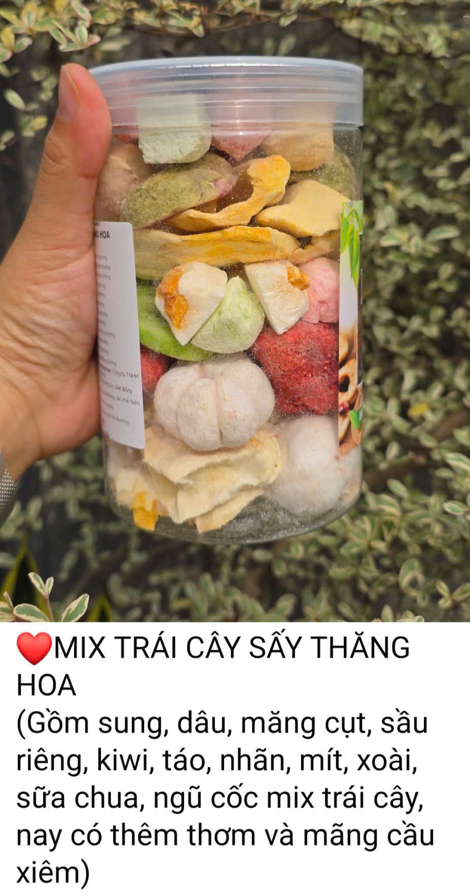 Trái cây mix sấy thăng hoa