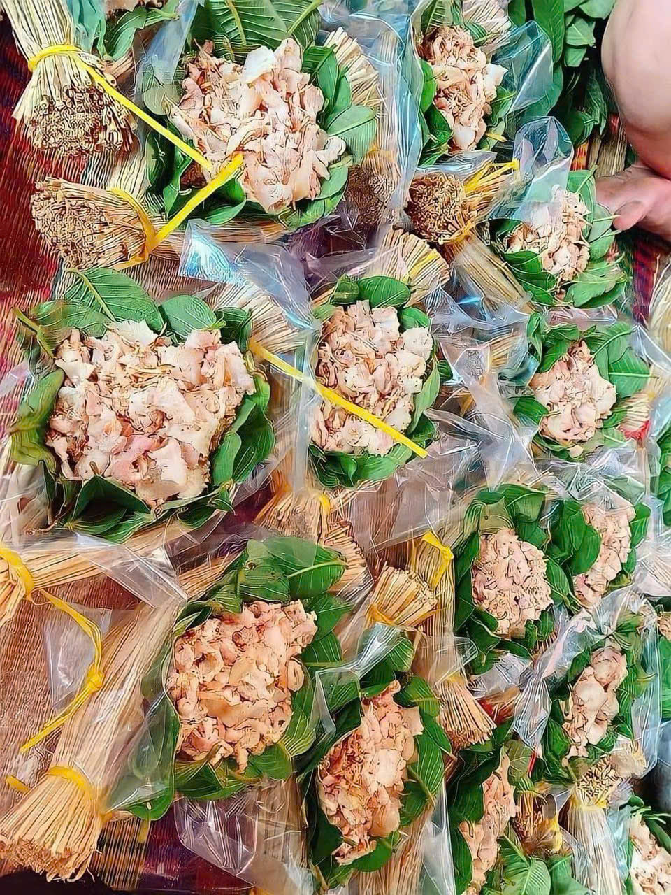 TRÉ RƠM BÌNH ĐỊNH