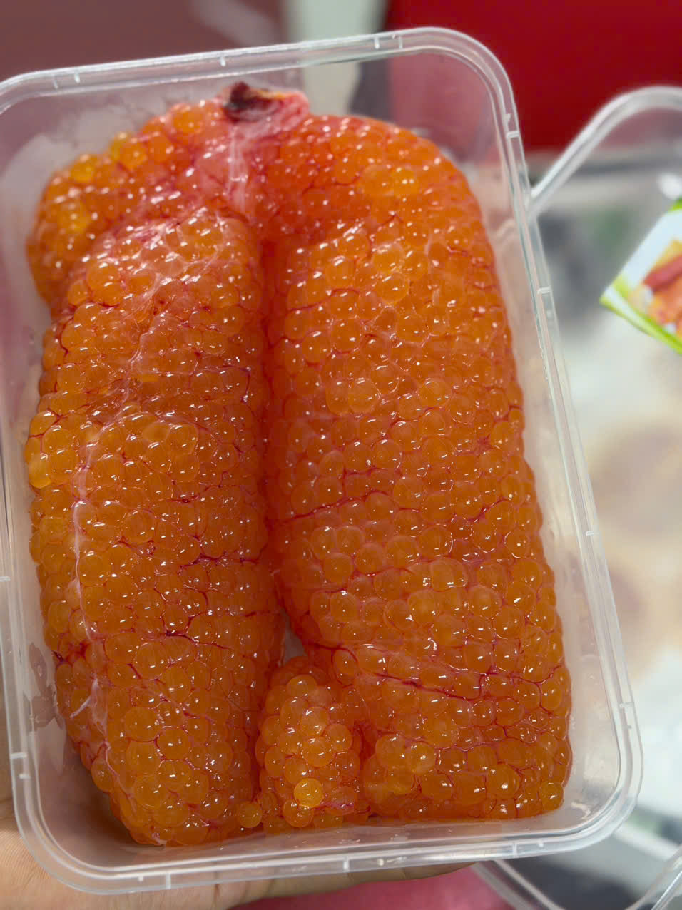 TRỨNG CÁ NGÁT TƯƠI
