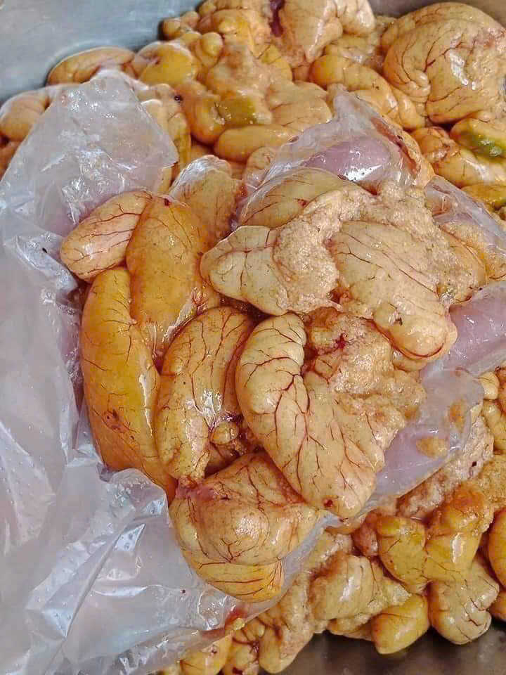 Trứng cá sặc tươi