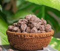 XÍ MUỘI MƠ CHUA NGỌT