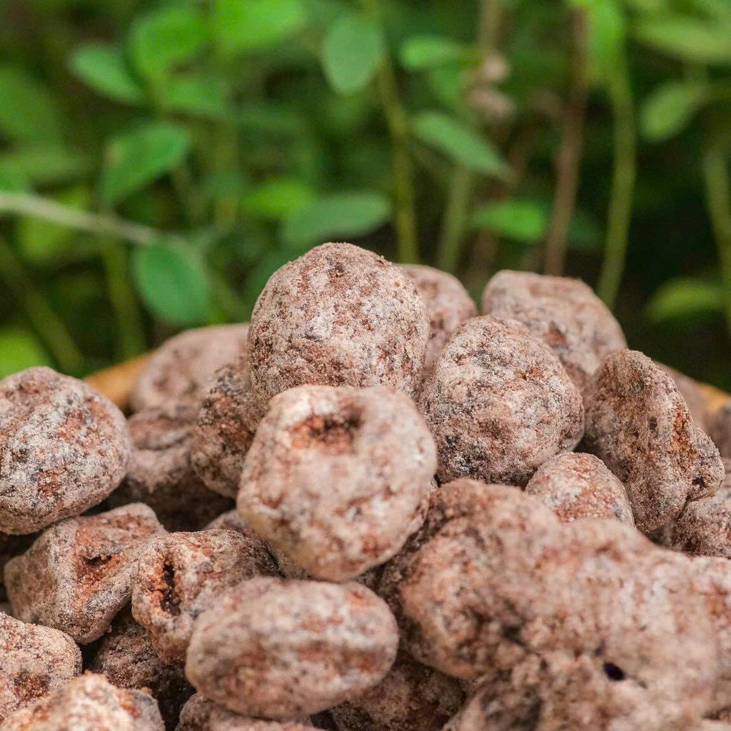 XÍ MUỘI MƠ CHUA NGỌT