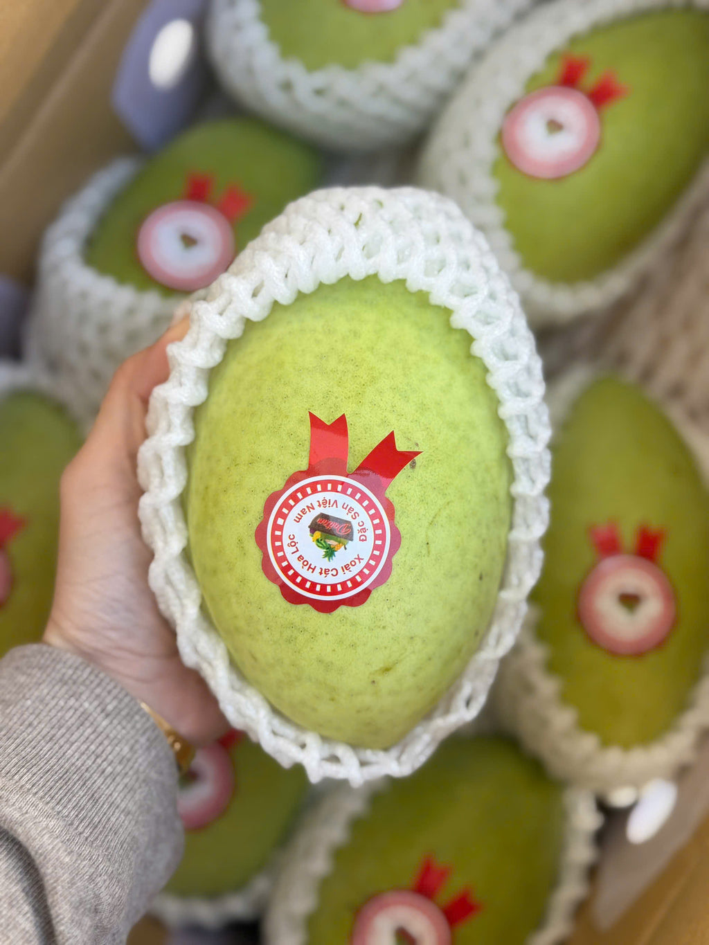 Xoài cát hoà lộcFRESH FRUITS - NEXT DAY DELIVERY