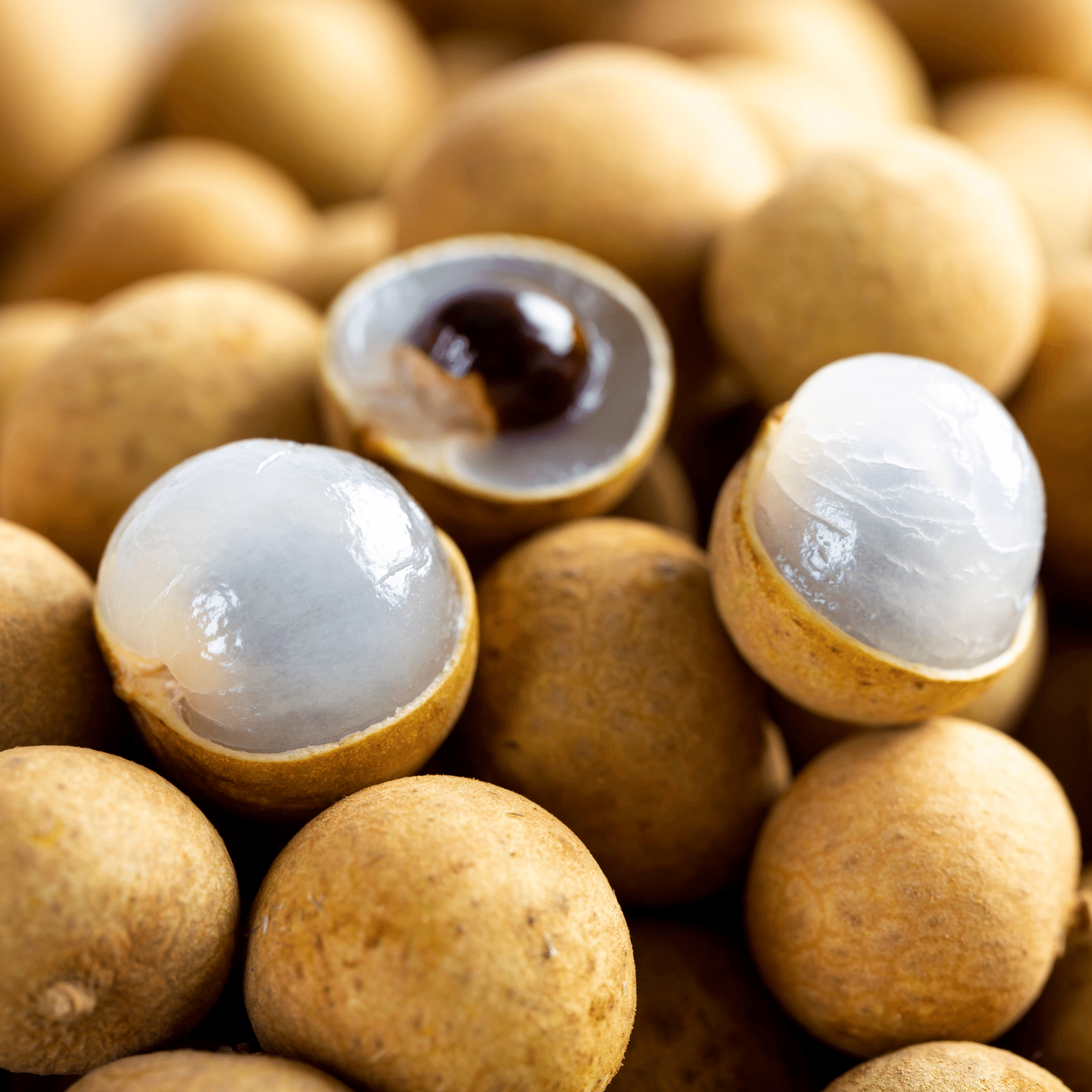 Nhãn Hawaii Tươi | Fresh Hawaii Longan | FREESHIP OVERNIGHT