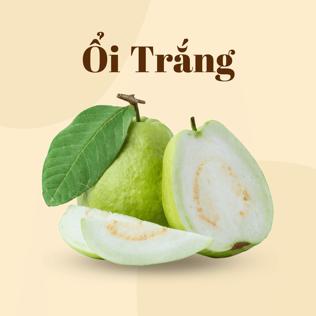 Ổi Ruột Trắng | White Guava | Freeship overnight